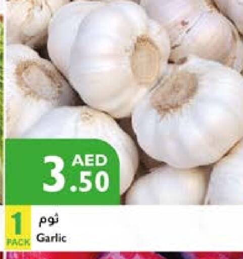 ثوم available at إسطنبول سوبرماركت in الإمارات العربية المتحدة , الامارات - أبو ظبي