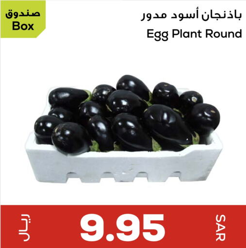 available at Astra Markets in KSA, Saudi Arabia, Saudi - Tabuk