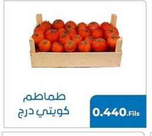 Tomato available at khitancoop in Kuwait - Jahra Governorate