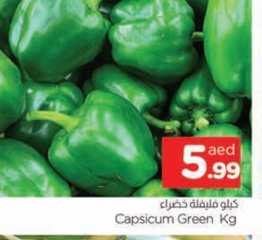 Chilli / Capsicum available at AL MADINA in UAE - Sharjah / Ajman