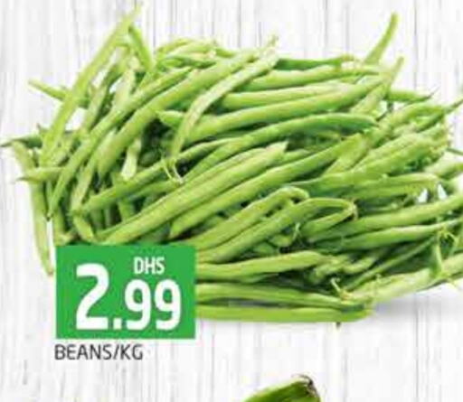 Beans available at PASONS GROUP in UAE - Dubai