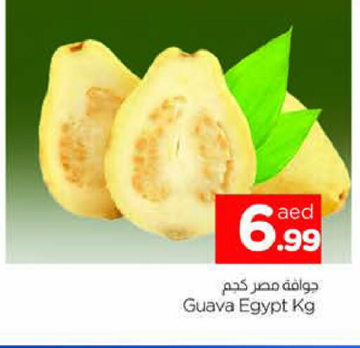 جوافة from Egypt available at المدينة in الإمارات العربية المتحدة , الامارات - الشارقة / عجمان