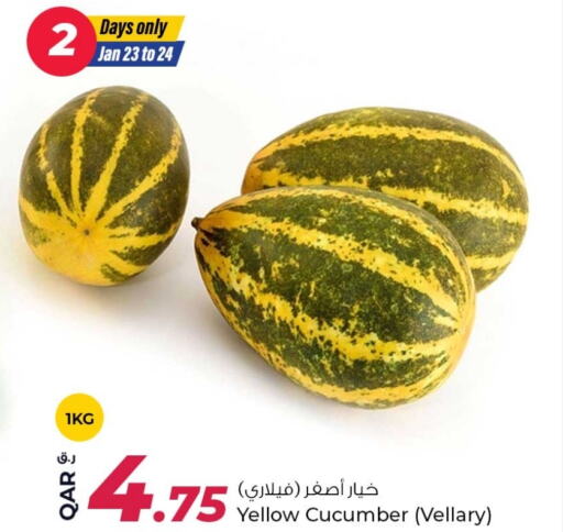 Cucumber available at Rawabi Hypermarkets in Qatar - Umm Salal