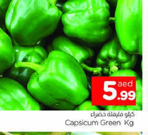 Chilli / Capsicum available at AL MADINA in UAE - Sharjah / Ajman