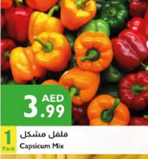 Chilli / Capsicum available at Istanbul Supermarket in UAE - Sharjah / Ajman