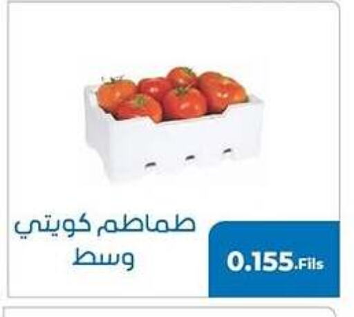 Tomato available at khitancoop in Kuwait - Jahra Governorate