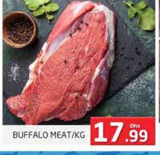 Buffalo available at PASONS GROUP in UAE - Dubai