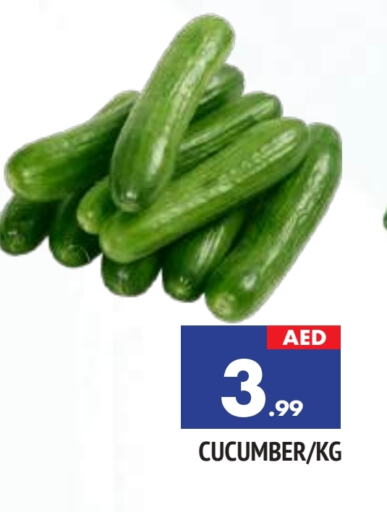 Cucumber available at AL MADINA in UAE - Sharjah / Ajman