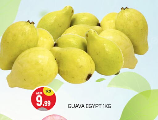 Guava from Egypt available at TALAL MARKET in UAE - Dubai