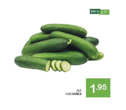 Cucumber available at  مـزايــا in مملكة العربية السعودية, السعودية, سعودية - القطيف‎