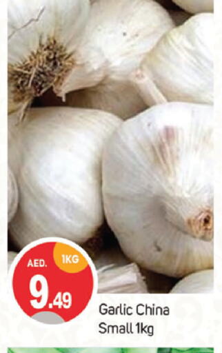 Garlic from China available at TALAL MARKET in UAE - Sharjah / Ajman