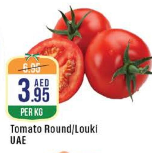 Tomato available at West Zone Supermarket in UAE - Sharjah / Ajman