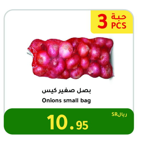 Onion available at AlHajri Food in KSA, Saudi Arabia, Saudi - Khamis Mushait