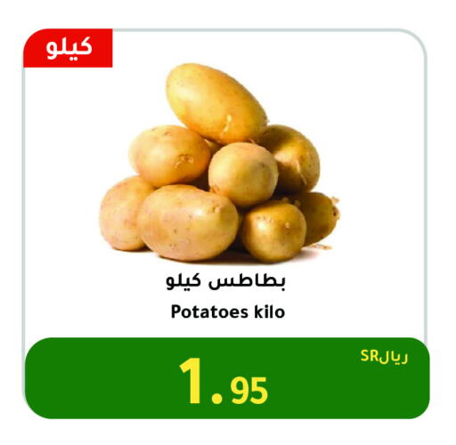 Potato available at AlHajri Food in KSA, Saudi Arabia, Saudi - Khamis Mushait