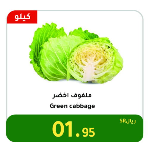 Cabbage available at AlHajri Food in KSA, Saudi Arabia, Saudi - Khamis Mushait