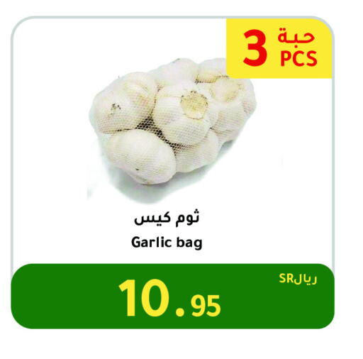 Garlic available at AlHajri Food in KSA, Saudi Arabia, Saudi - Khamis Mushait