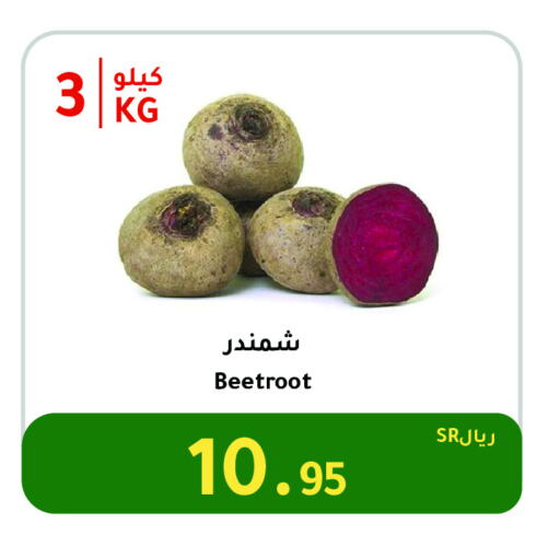 Beetroot available at AlHajri Food in KSA, Saudi Arabia, Saudi - Khamis Mushait