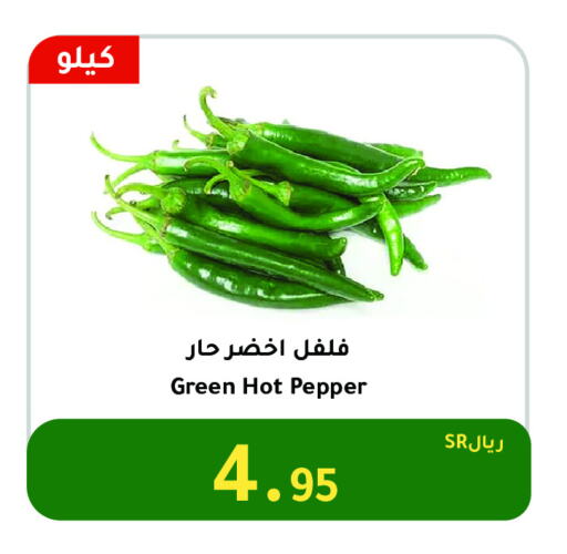 Chilli / Capsicum available at AlHajri Food in KSA, Saudi Arabia, Saudi - Khamis Mushait