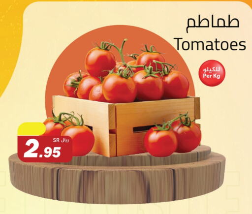 Tomato available at Hypermarket Stor in KSA, Saudi Arabia, Saudi - Tabuk