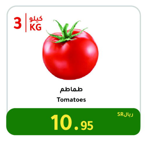 Tomato available at AlHajri Food in KSA, Saudi Arabia, Saudi - Khamis Mushait