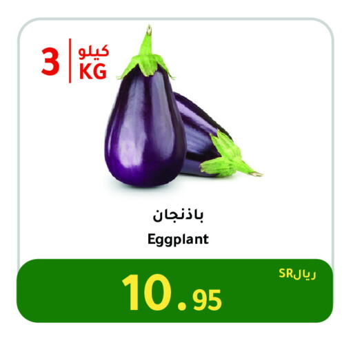 Eggplant available at AlHajri Food in KSA, Saudi Arabia, Saudi - Khamis Mushait