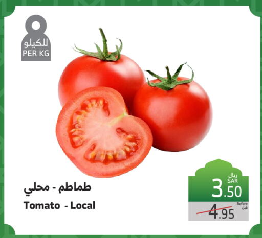 Tomato available at Al Raya in KSA, Saudi Arabia, Saudi - Tabuk