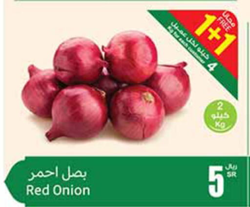 Onion available at Othaim Markets in KSA, Saudi Arabia, Saudi - Jubail