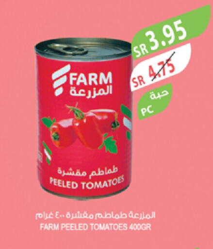 Tomato available at Farm  in KSA, Saudi Arabia, Saudi - Jubail