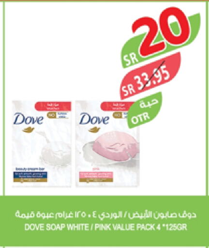 DOVE available at Farm  in KSA, Saudi Arabia, Saudi - Tabuk