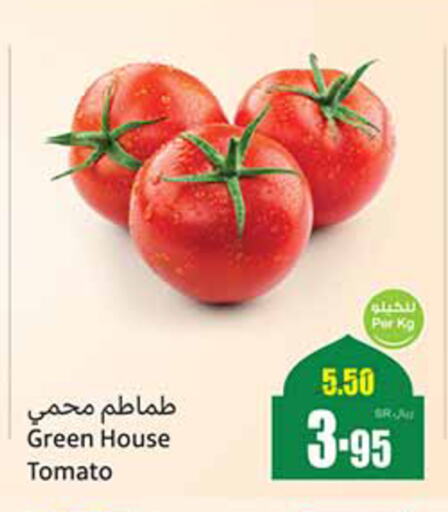 Tomato available at Othaim Markets in KSA, Saudi Arabia, Saudi - Jubail