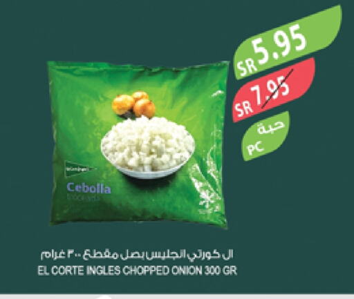 Onion available at Farm  in KSA, Saudi Arabia, Saudi - Tabuk