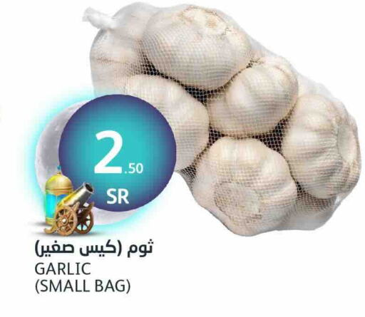 ثوم available at مركز الجزيرة للتسوق in مملكة العربية السعودية, السعودية, سعودية - الرياض