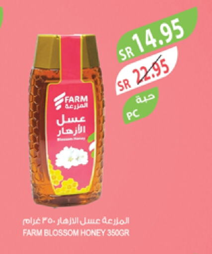 Honey available at Farm  in KSA, Saudi Arabia, Saudi - Tabuk