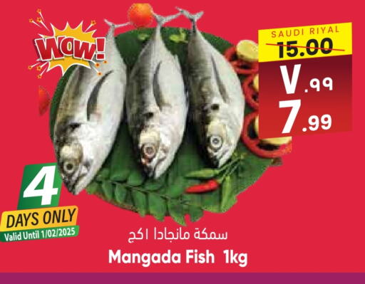 available at City Flower in KSA, Saudi Arabia, Saudi - Jubail