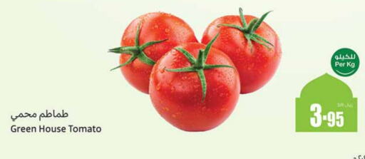 Tomato available at Othaim Markets in KSA, Saudi Arabia, Saudi - Tabuk