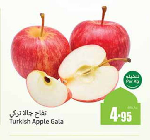 Apples from Turkey available at Othaim Markets in KSA, Saudi Arabia, Saudi - Az Zulfi