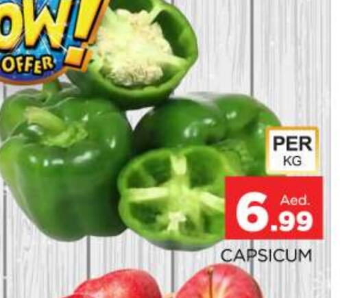 Chilli / Capsicum available at AL MADINA (Dubai) in UAE - Dubai