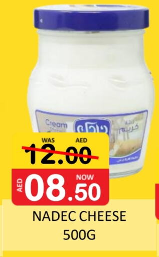 NADEC Cream Cheese available at ROYAL GULF HYPERMARKET LLC in UAE - Abu Dhabi