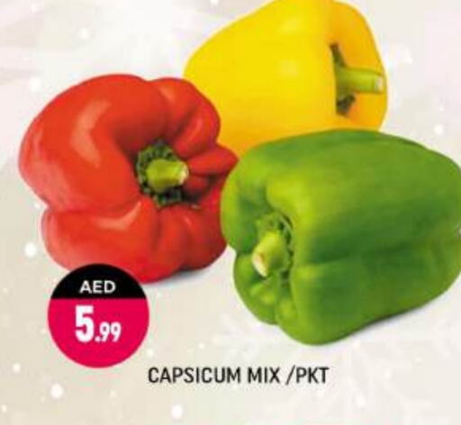 Chilli / Capsicum available at Shaklan  in UAE - Dubai