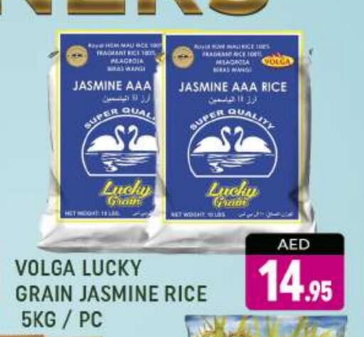 VOLGA Jasmine Rice available at AL MADINA (Dubai) in UAE - Dubai