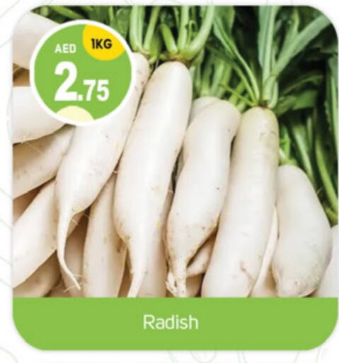 Radish available at TALAL MARKET in UAE - Sharjah / Ajman