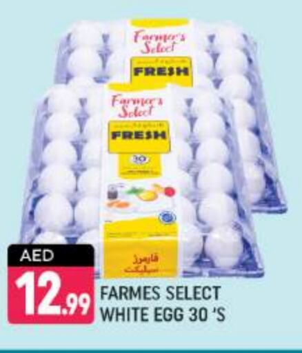 available at Shaklan  in UAE - Dubai