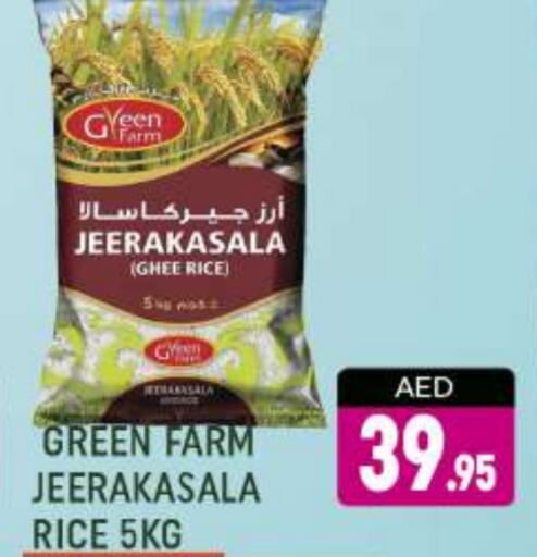 Jeerakasala Rice available at AL MADINA (Dubai) in UAE - Dubai