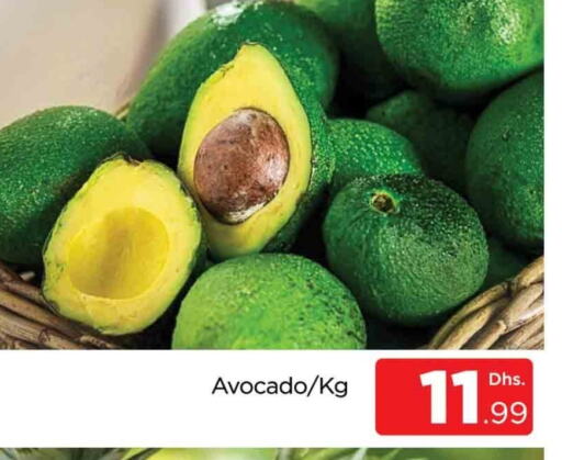 Avacado available at AL MADINA (Dubai) in UAE - Dubai