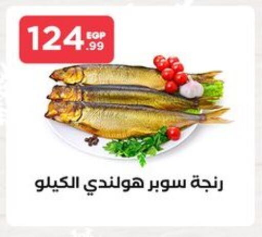 available at مارت فيل in Egypt - القاهرة