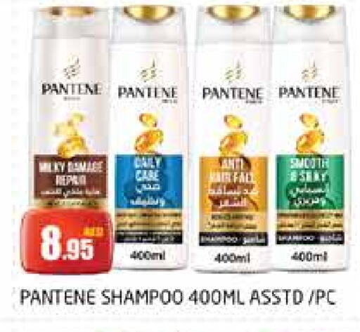 PANTENE Shampoo / Conditioner available at PASONS GROUP in UAE - Dubai