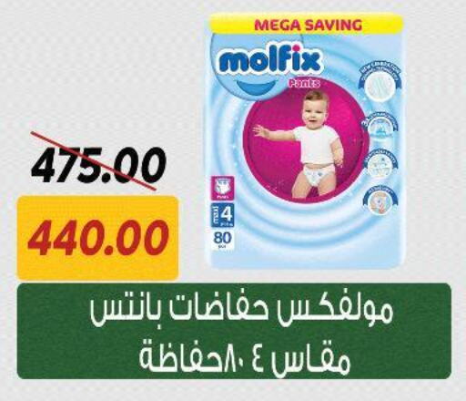 MOLFIX available at Sarai Market  in Egypt - Cairo