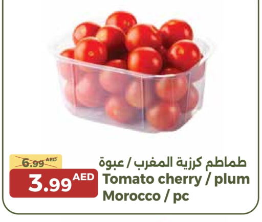 طماطم from Morocco available at جمعية الامارات التعاونية in الإمارات العربية المتحدة , الامارات - دبي