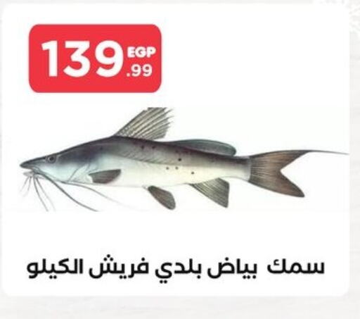 available at مارت فيل in Egypt - القاهرة