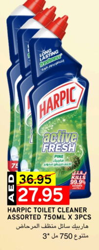 HARPIC Toilet / Drain Cleaner available at Select Market in UAE - Abu Dhabi